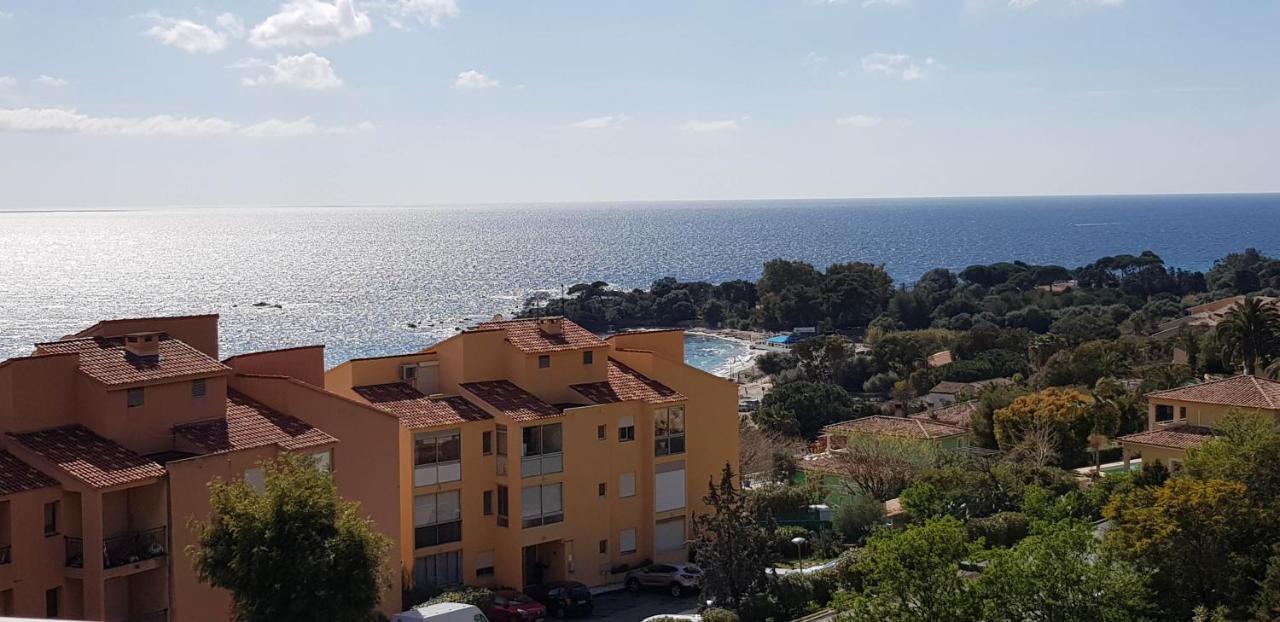 T1 Vue Mer Bord De Mer Ajaccio Ajaccio  Exterior foto